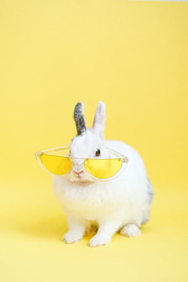 user profile pic